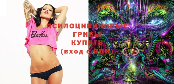 альфа пвп Заволжск