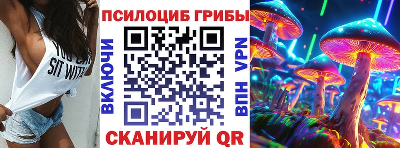 Купить закладки  Калачинск  Галлюциногенные грибы Cubensis 