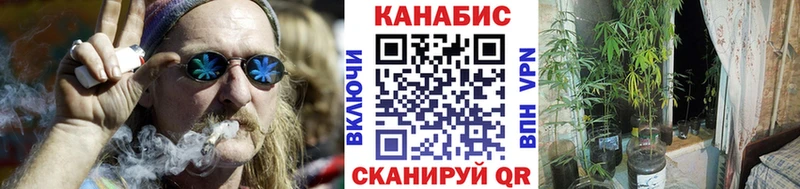 Купить закладки  Калачинск  Бошки Шишки план 